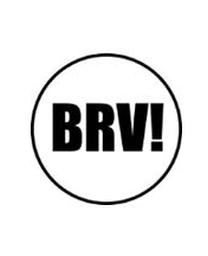 BRAVUS TRANSPORTES E LOGISTICA LTDA