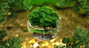 O que precisa para ser um consultor ambiental?